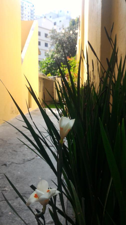 Olah Hostel - Vila Mariana 상파울루 외부 사진