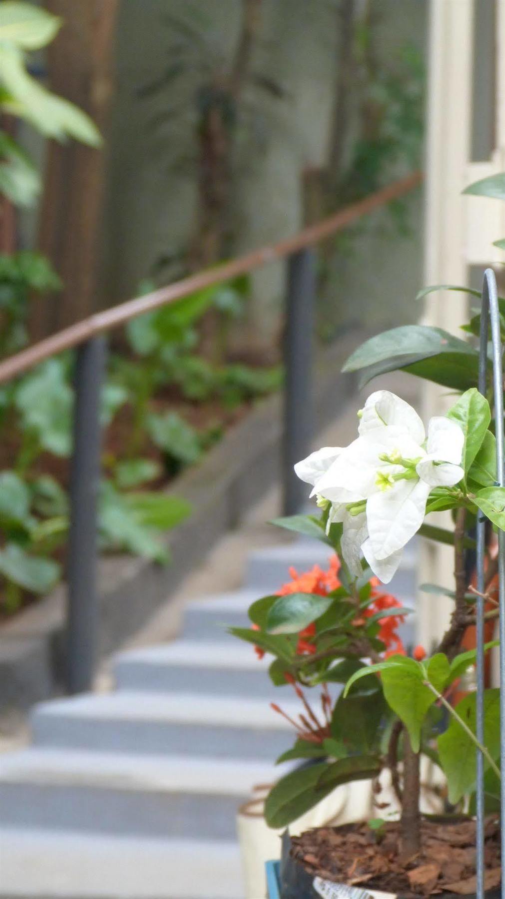 Olah Hostel - Vila Mariana 상파울루 외부 사진